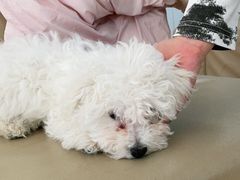 -宠颐生中康贝怡动物医院