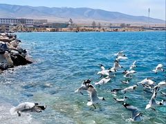 -青海湖国家重点风景名胜区