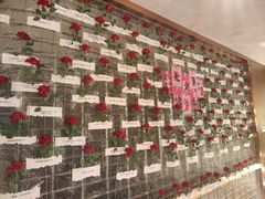 -百草滩羊清水涮羊肉·清真·宁夏盐池滩羊(莲花桥店)