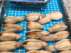 -阿浪海鲜连锁加工店(B栋2排1号火车头店)