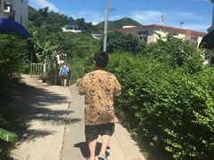 -南丫岛