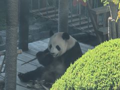 -大连森林动物园