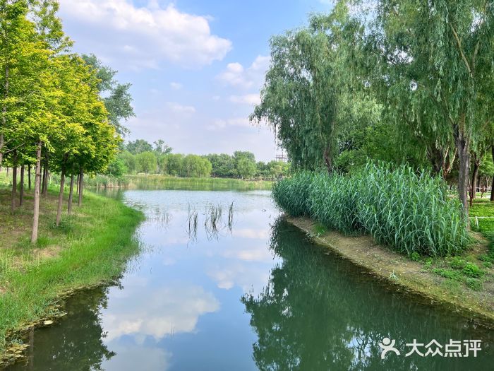 北龙湖湿地公园图片