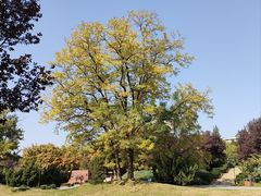 -元大都城垣遗址公园