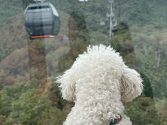 -呀诺达热带雨林