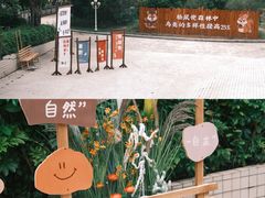 -梅州雁山湖国际花园度假区