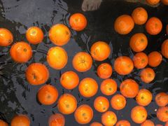 -深业半汤御泉庄温泉