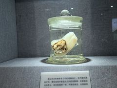 -唐山抗震纪念馆