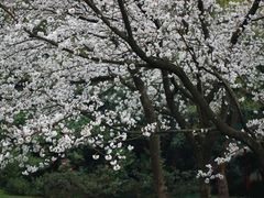 -中国茶叶博物馆(双峰馆区)