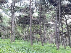 -长春市南湖公园