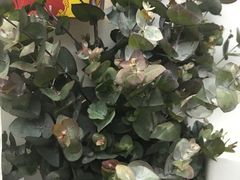 -亭亭鲜花店(中山北路店)