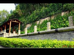 景点-厦门博饼民俗园