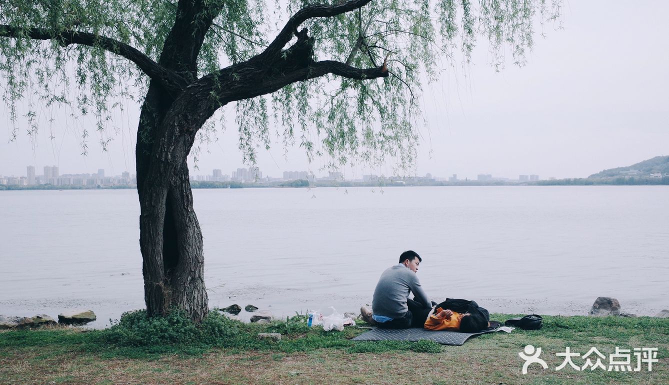 春风又绿江南岸，来蠡湖边走走吧！