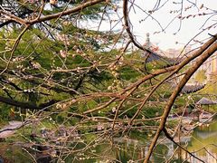 -水绘园