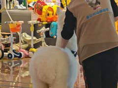 -友谊阳光城