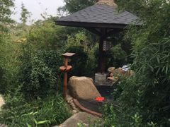 -威海天沐温泉度假区