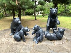 -济州岛泰迪熊博物馆