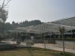 -三江森林温泉度假区