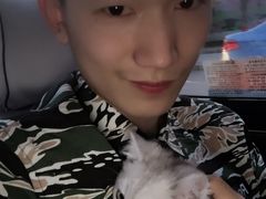 -瑞派宠物医院·24h·骨外科·皮肤科·全科宠物医疗转诊中心(沈阳浑南院)