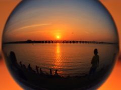 -宝安西湾红树林湿地公园