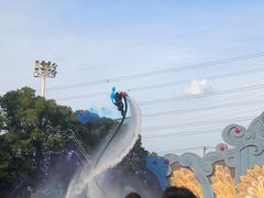 -苏州乐园森林水世界