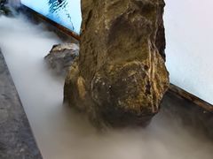 -望湘园·洞庭渔宴(浦江欢乐颂店)