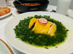 -圆苑(静安寺店)