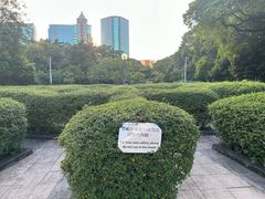 -九龙公园