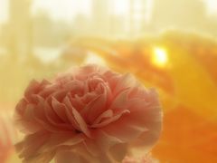 -哈根达斯(滨江店)