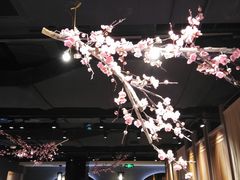 -呷哺呷哺 黄金牧场 (回龙观港龙店)