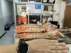 -鲤.金记沙茶面(总店)