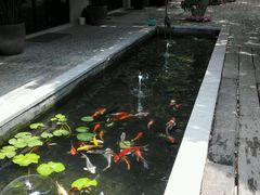 android_upload_pic-T館·花园艺术餐厅