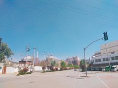 -舜玉老孙家鲜炒大盘鸡(土屋路店)