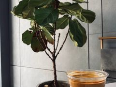 -ADO KAFE(大学城店)