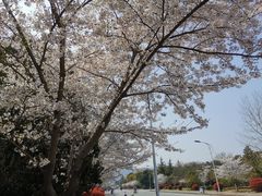 -江南大学(蠡湖校区)