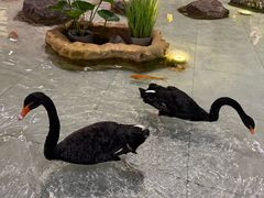 -首创奥特莱斯(北京店)