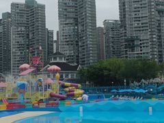 -海合安成都极地海洋公园