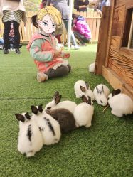 -萌宠亲子动物乐园(槐房万达店)