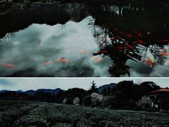 -中国茶叶博物馆(双峰馆区)