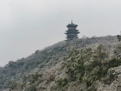 -杭州半山国家森林公园