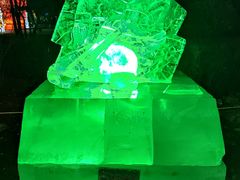 -长春市南湖公园