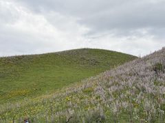 -新疆那拉提国家旅游度假区