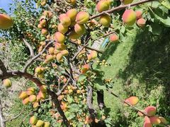 -北京乐谷