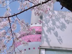 -东方明珠广播电视塔