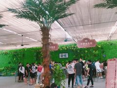 -奥帕拉拉水公园
