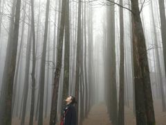 -山王坪喀斯特国家生态公园