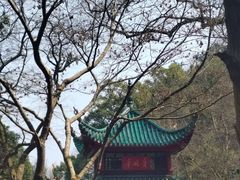 -岳麓山风景名胜区