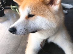 -太麻里文创咖啡馆(创意设计中心店)