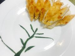 -丁老爷子苏香圆