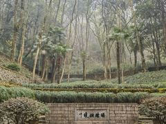 -瑶琳仙境